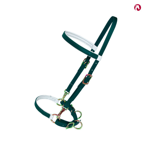 Bithänger mit Stirnband und kolumb. Bosal und Barbada