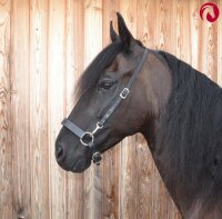 Bithänger, Semizaum "Bocana" schwarzes Leder mit Karabiner silberfarben (vernickelt),schwarz