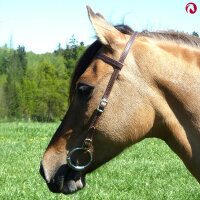 Bithänger Semizaum "Betania" harness Leder mit Schnallen silberfarben (vernickelt),weiß