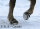 Hufschuh "Cavallo Trek"