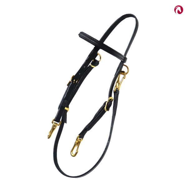 Kopfstück mit Karabiner + abnehmbaren Kehlriemen