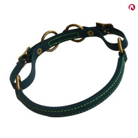 Kolumbianisches Bosal und Barbada tanne - neongrün