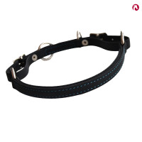 Kolumbianisches Bosal und Barbada schwarz - türkis